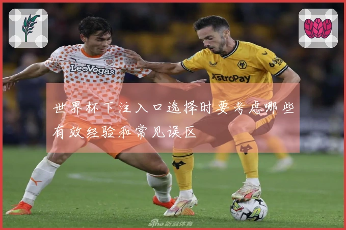 世界杯下注入口选择时要考虑哪些有效经验和常见误区