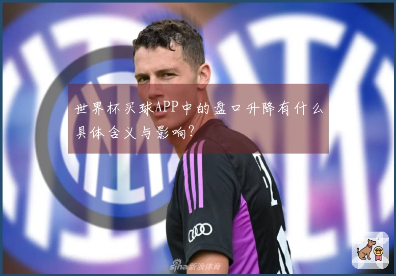世界杯买球APP中的盘口升降有什么具体含义与影响？