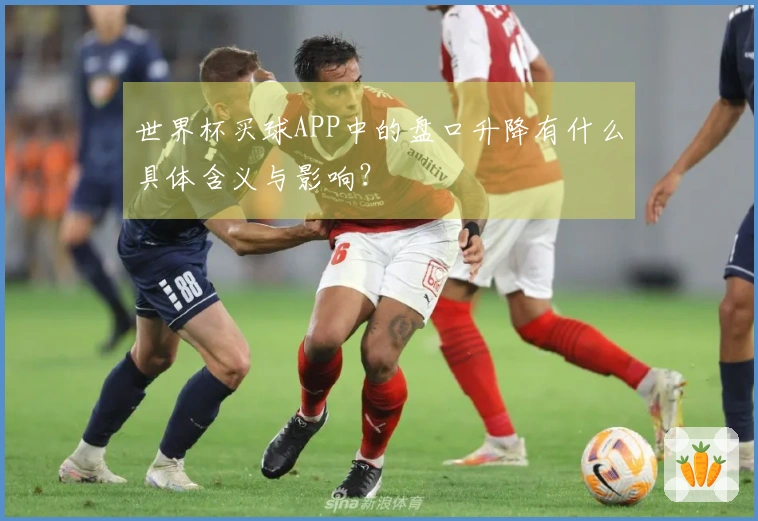 世界杯买球APP中的盘口升降有什么具体含义与影响？